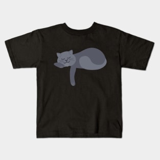 Funny Cat Asleep | British Shorthair Kids T-Shirt